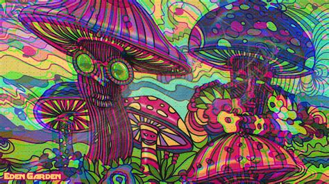 The Magic Shroom Bus and Beyond: Experiencing Psychedelics in Nature's Wonderland